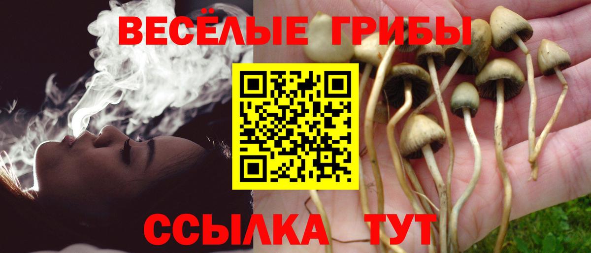 Псилоцибиновые грибы Cubensis  Вход с VPN  Когалым 