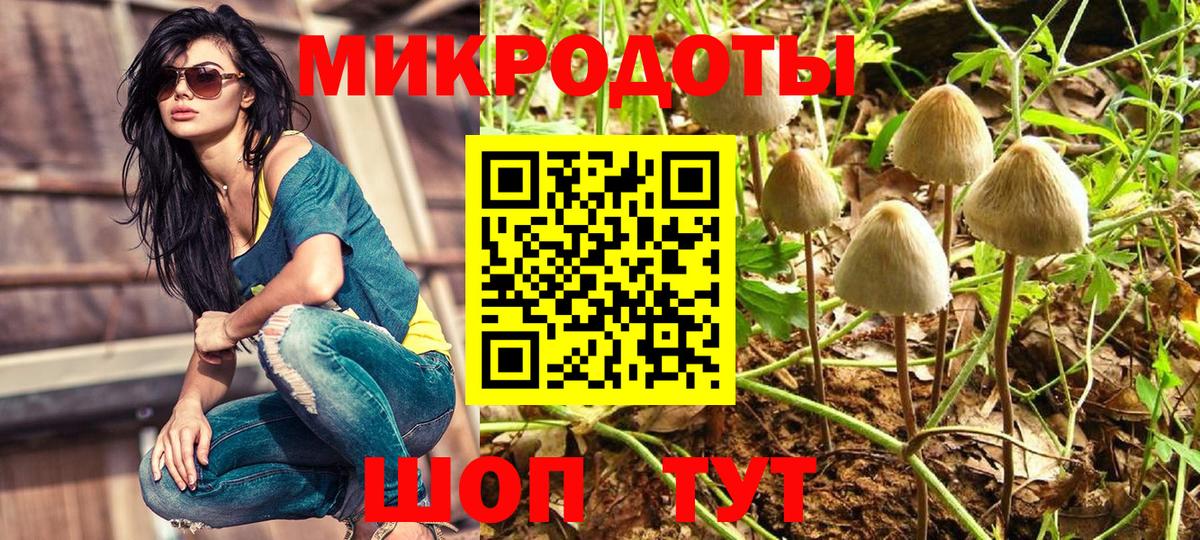 Галлюциногенные грибы Cubensis Когалым